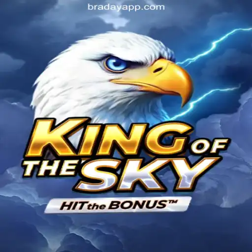 BRADAY.com platform-online Slots Brasil #1 Privacy Policy